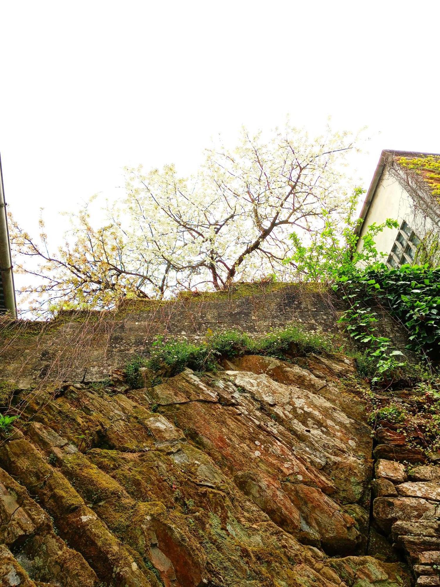 Hostel San Lazaro Sarria